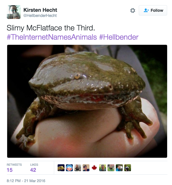 The Internet Takes a Crack at Naming Animals
