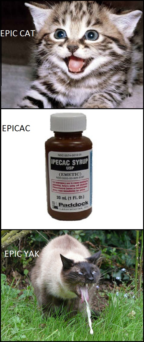 Epic cat, epicac, epic yak