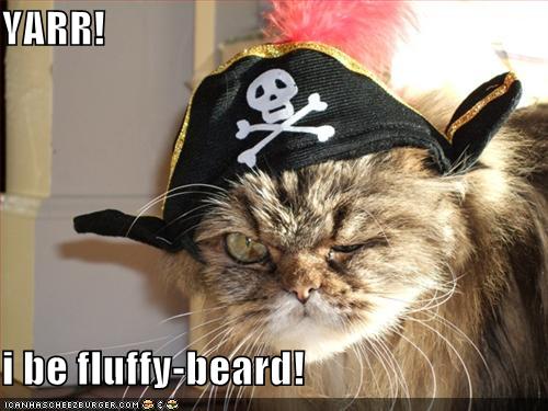 Cat Pirates!!