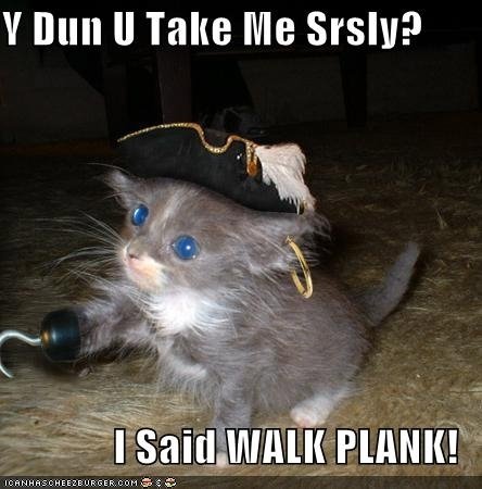 Cat Pirates!!