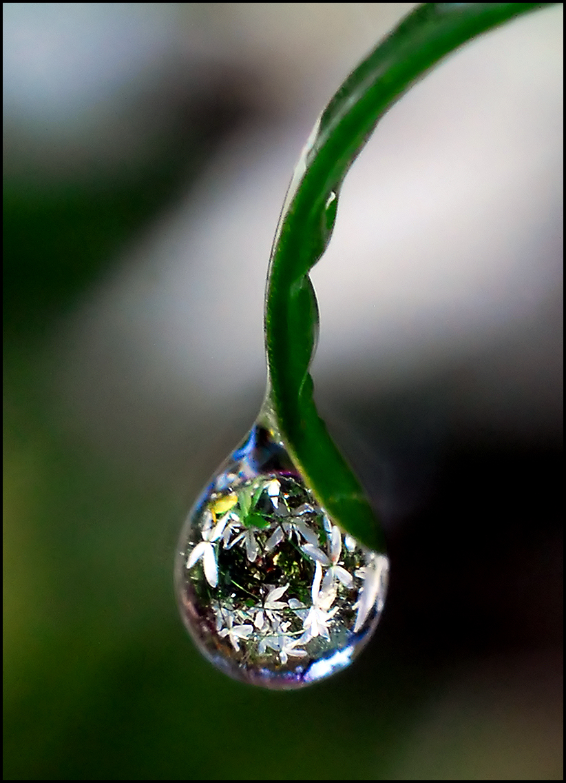 The World is Inside a Water Drop