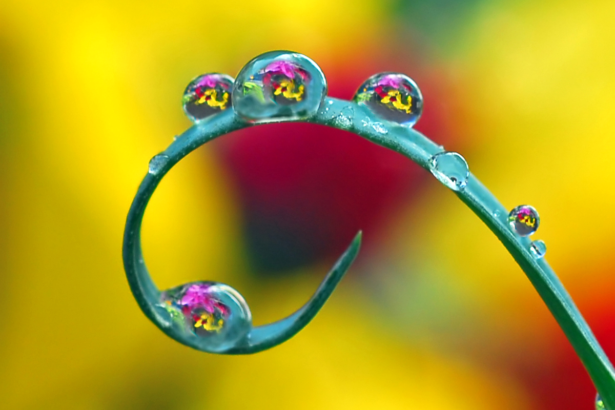 The World is Inside a Water Drop