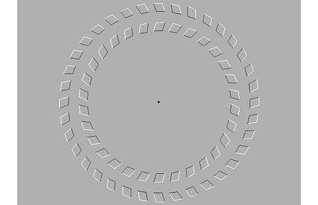 Focus your eyes on the dot in the centre of the circle and then move your head backwards and forwards. The outer wheels of the circle should begin to rotate in opposite directions. 