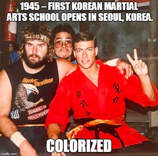 Martial Arts Colorized