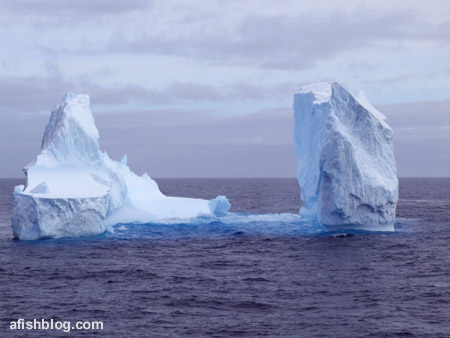 Awesome Iceberg Photos