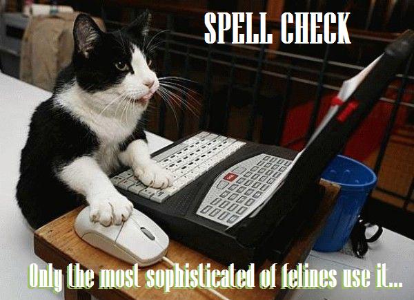 Only the most sophisticated of felines use it...