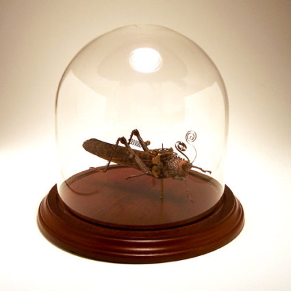 Insects and Old Wristwatches Make a Beautiful Couple