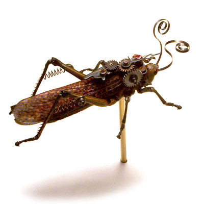 Insects and Old Wristwatches Make a Beautiful Couple