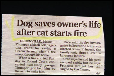 Funny Newspaper Clippings 3