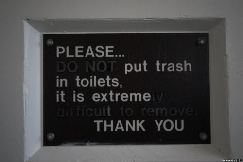 Extreme toilets