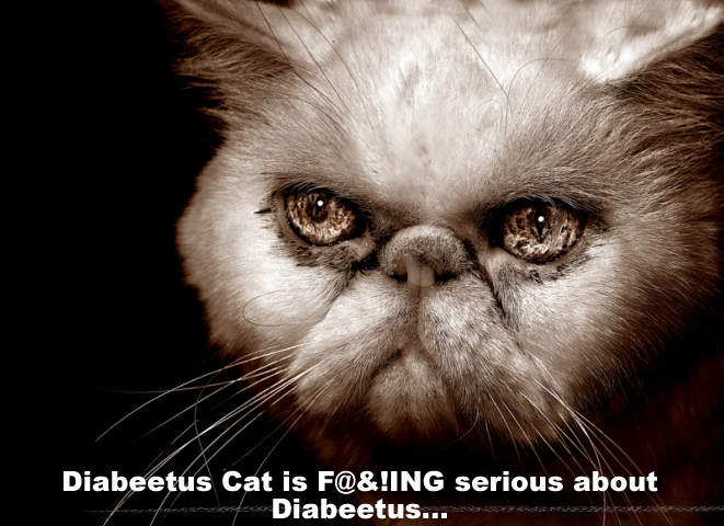 Diabeetus Cat is serious about diabeetus