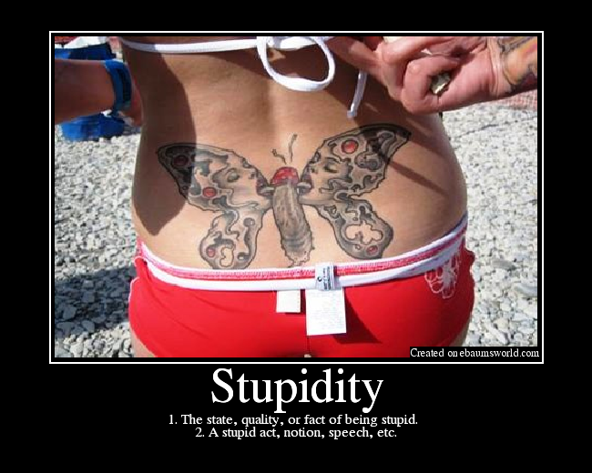 1. The state, quality, or fact of being stupid.  
2. A stupid act, notion, speech, etc.