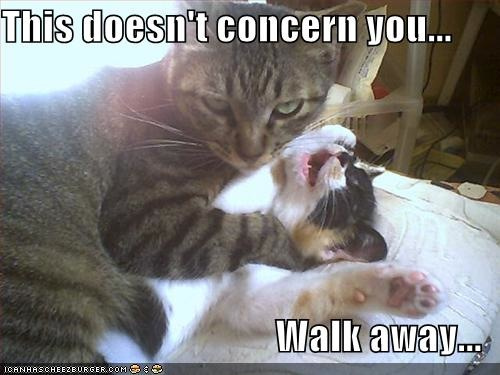 funny - This doesn't concern you... Walk away... Loanhascheezburger.Com
