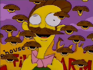 "The Simpsons" GIFS