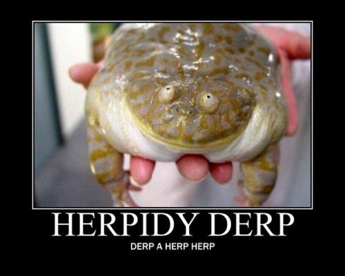 Herp...