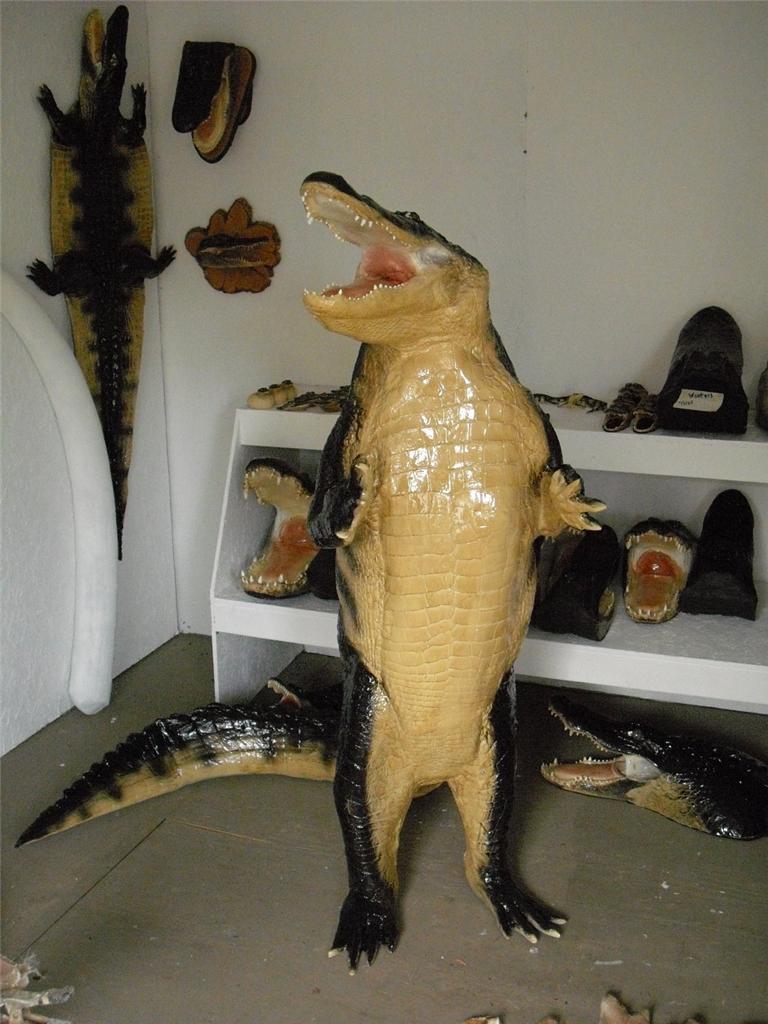 NEW! XXL HUGE Standing Alligator Gator Replica Full MOUNT - Fierce!-$2,899.00