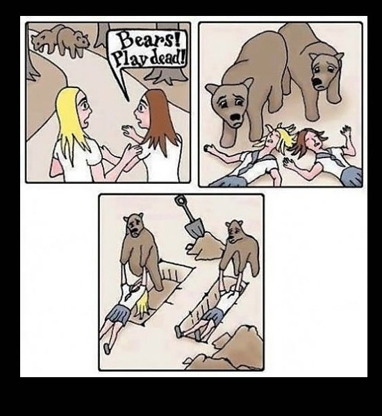 3 Bears! Play dead!