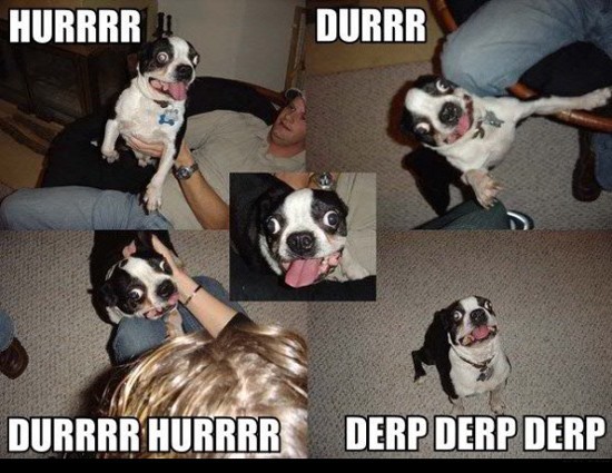 DOGS HERPING AND DERPING