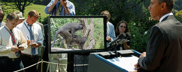 Just monkeying around at the press conference.