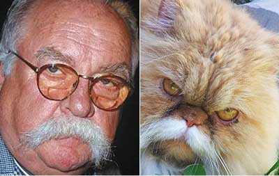 Wilford Brimley - resembles - Diabeetus Cat
