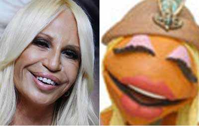 Donatella Versace - resembles - Janice the Muppet