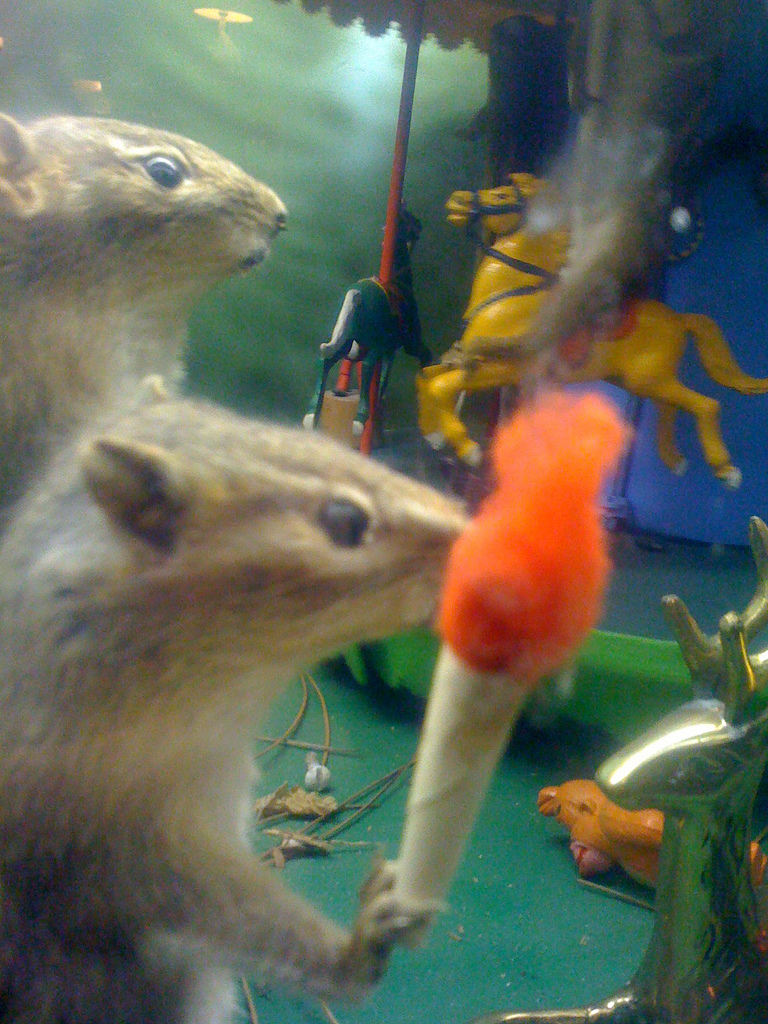 taxidermy museum