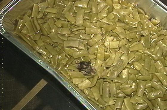 Rat Head Found in Can of Green Beans