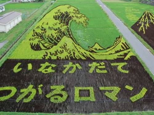 The writing says Inakadate (the location) tsugaru roman (the local specialty rice, a roman variety)