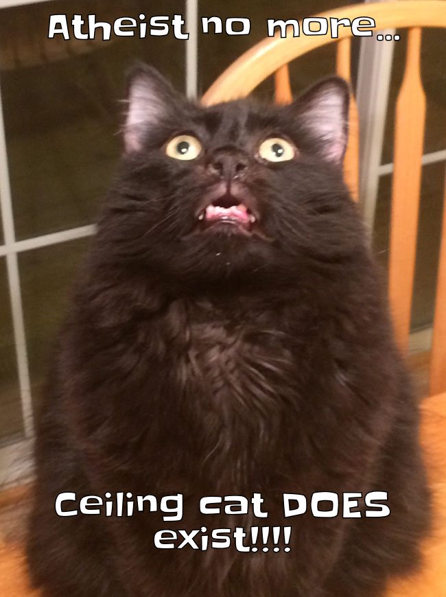 Kitty has renounced his heathen atheistic ways now that he's witnessed Ceiling Cat!