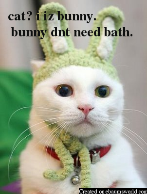 bunny dnt need bath.