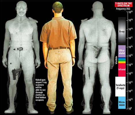 Airport "Naked Body" Scanners