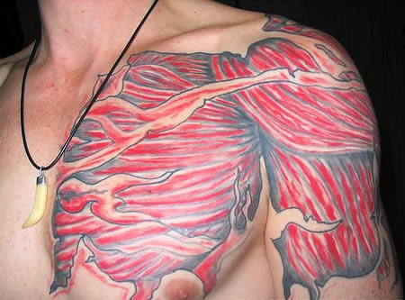 Crazy Anatomical Tats