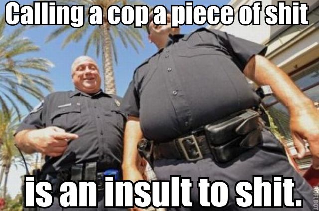 I made a mistake with my last post. Cops are lower than rat shit.