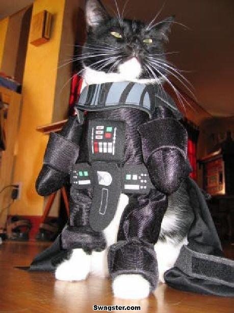 I am your father.......