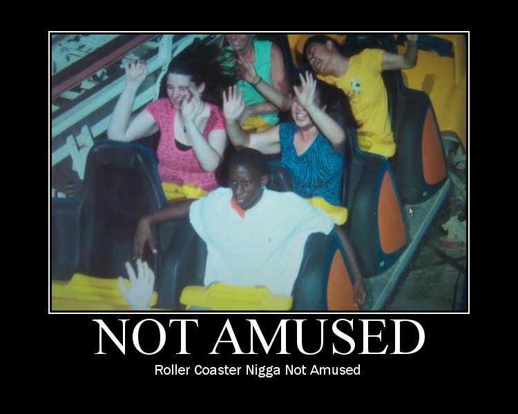 Roller Coaster Nigga is Not Amused.