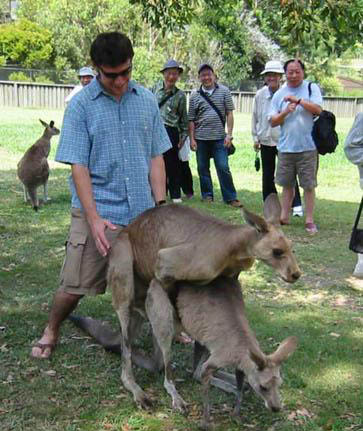 Animals have no rights! Go ahead and hump that roo.