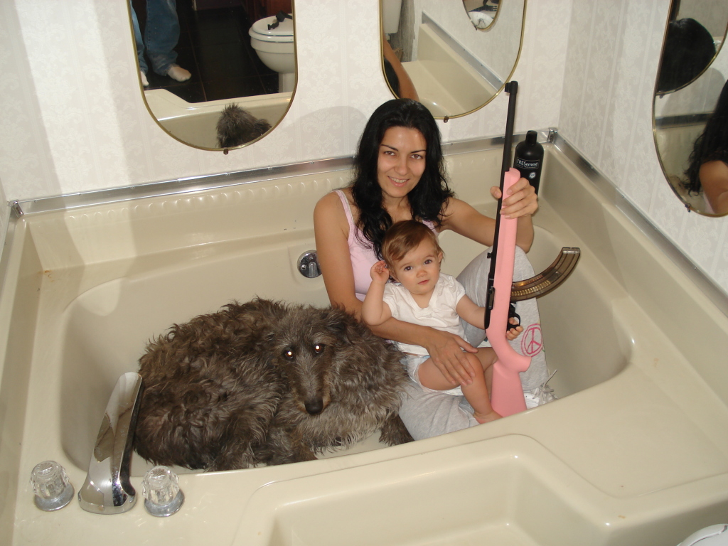 WTF is going on here? Ugly dogs and a kid about to fire a pink rifle!?