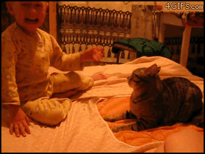 Cat owns baby.