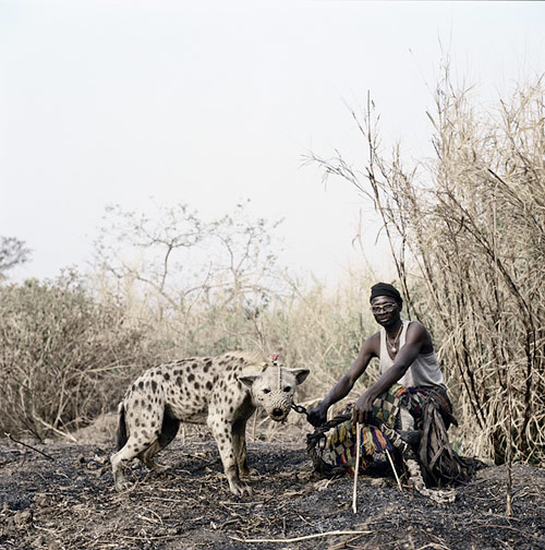 Hyena men of Nigeria