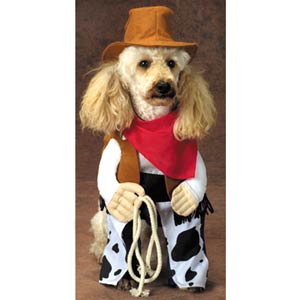 Funny dog costumes