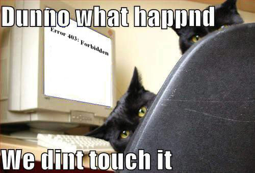 Me am posted a LOLcatz!!