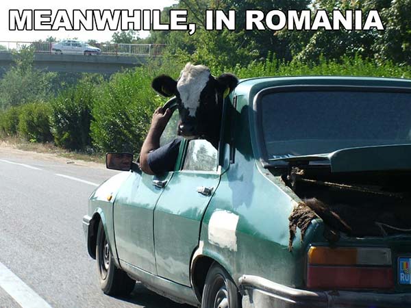 Meanwhile, Back in Romania...