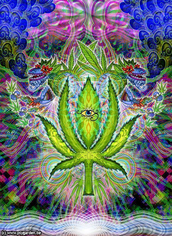 trippy picture of trippy weed backgrounds - V Sc 0 Com Ov Lo Inc S922 27 e Cs c