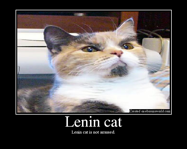 Lenin cat is not amused.