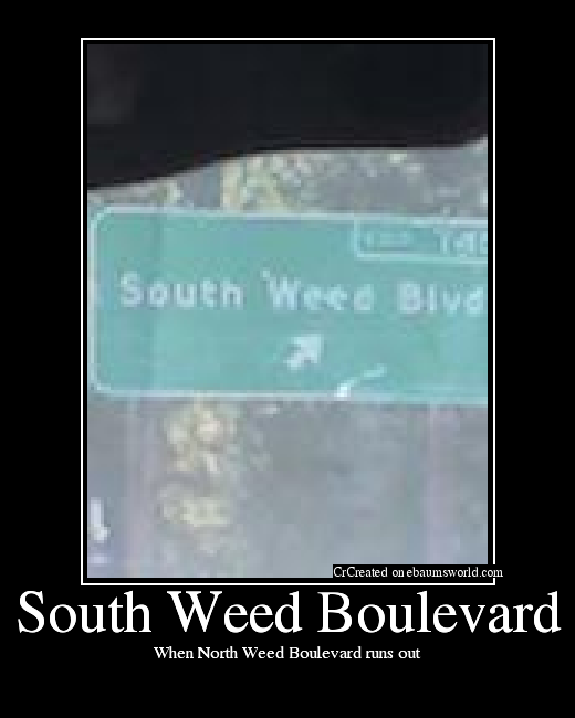 When North Weed Boulevard runs out