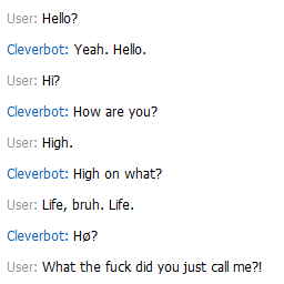 Cleverbot Fun