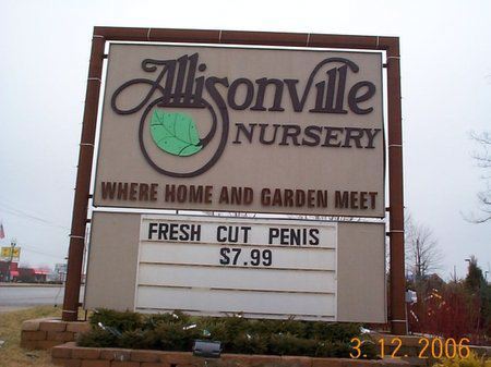 I wonder if they come in long-stemmed???