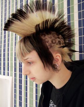 Ridiculous Hairstyles