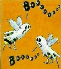 Yea get it?  Boo Bees?