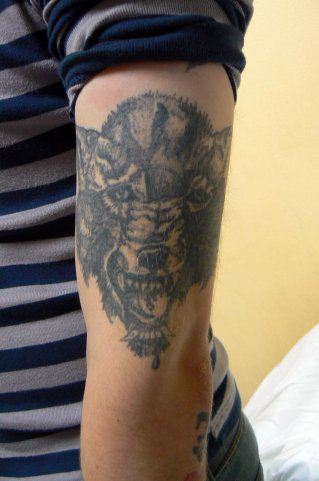 Best Tattoos Ever!